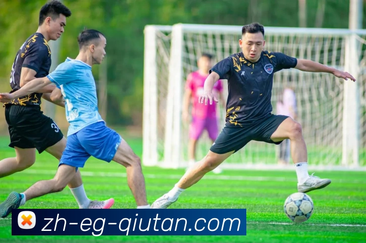 球探体育平台生态图