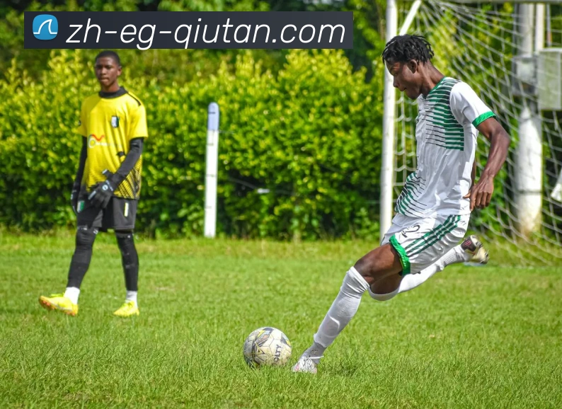 球探体育APP 封面图