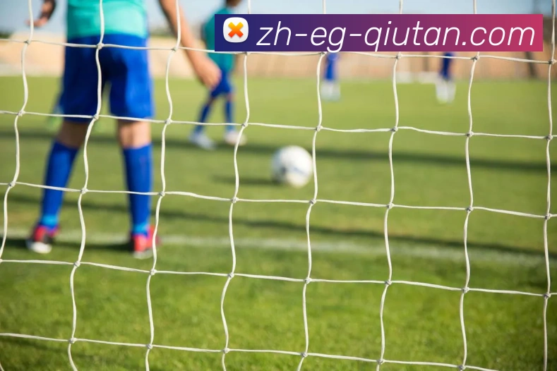 数据防护可视化